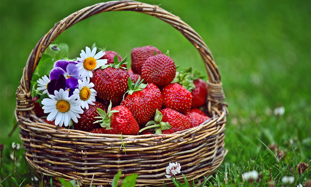 点呀点水果电商APP开发案例